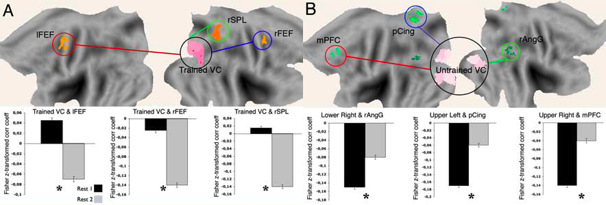 CognitiveNeurosci_1